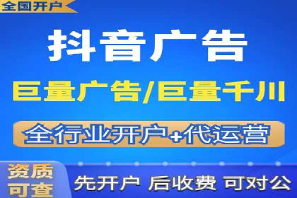 成功案例解析：SEO与SEM协同营销策略